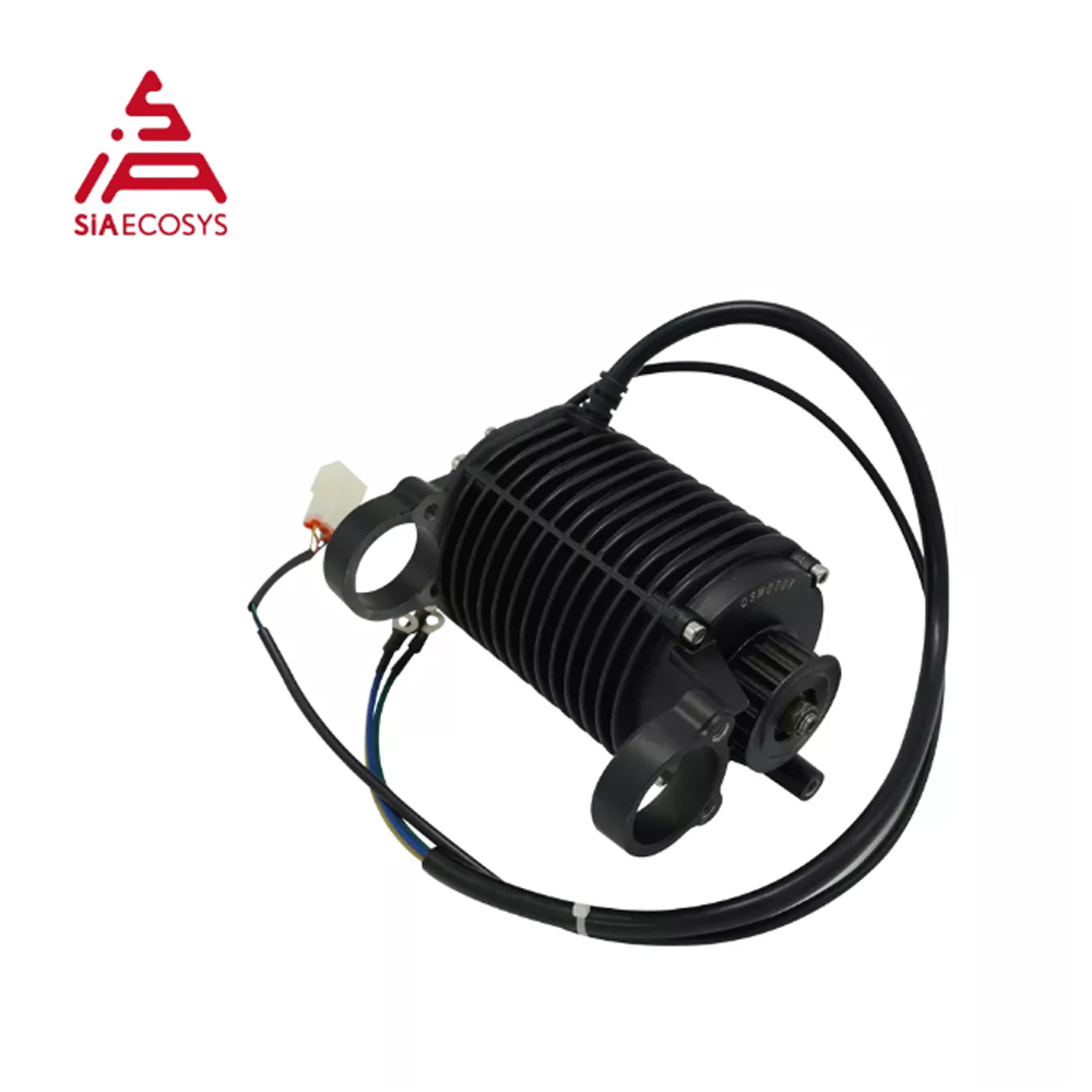 QSMOTOR 1000W Mid Drive Motor  - Mid Drive Conversion Kit 1000W review and price